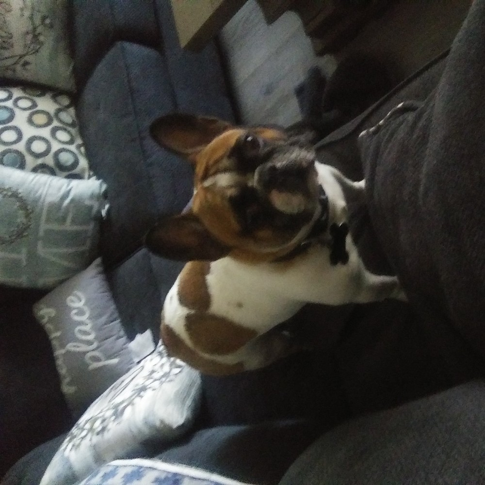 Meet your Posher, Melissa